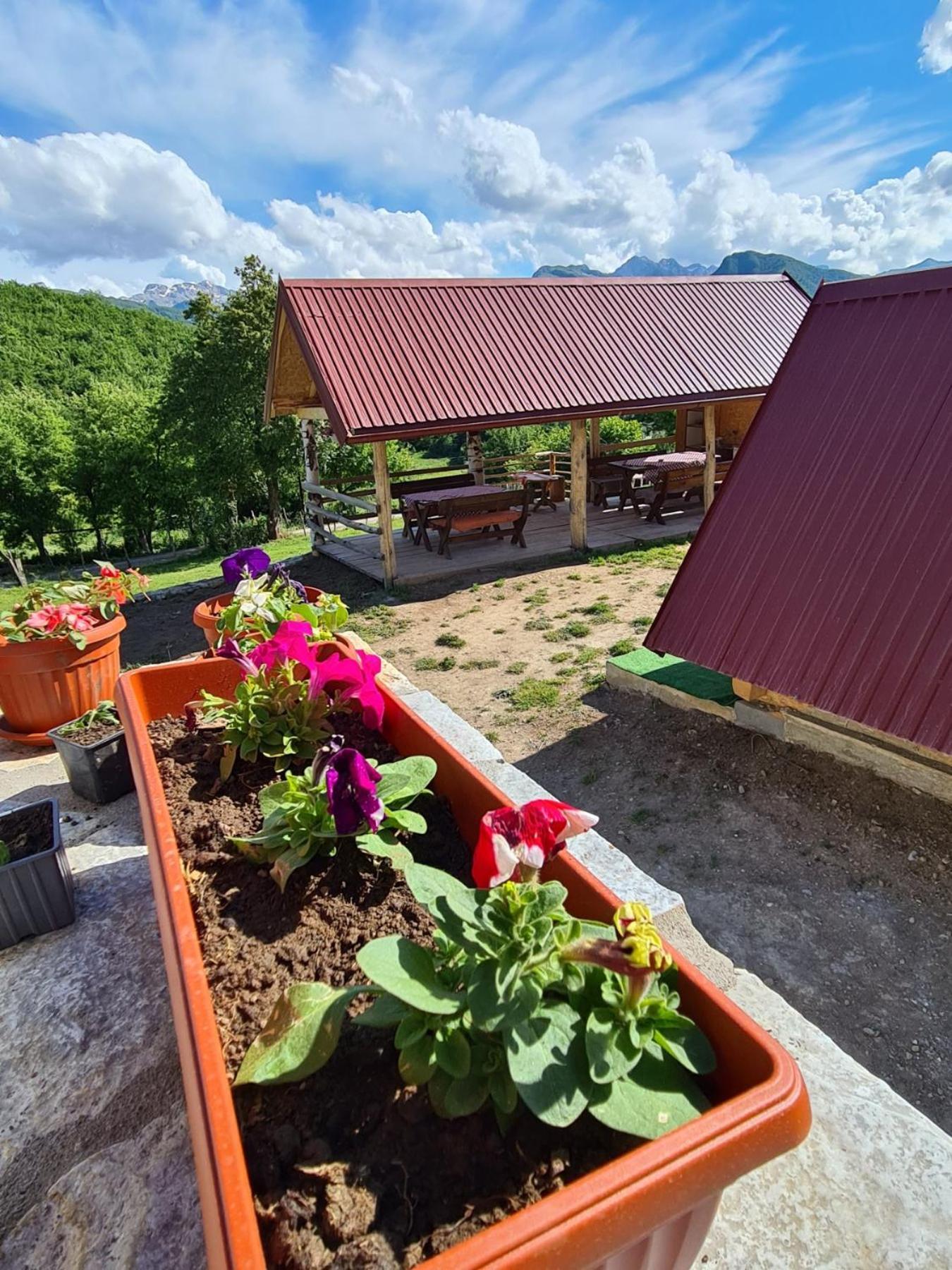 Bungalows Malagic Gusinje Exterior foto